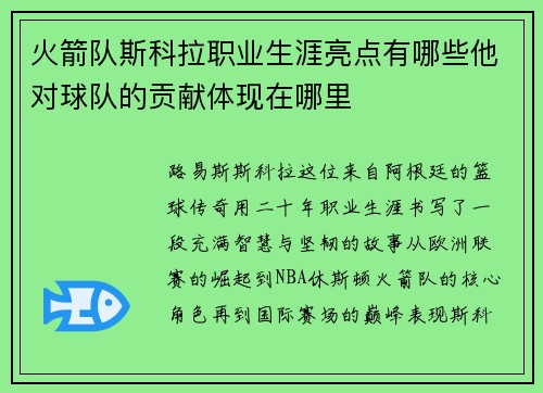 火箭队斯科拉职业生涯亮点有哪些他对球队的贡献体现在哪里